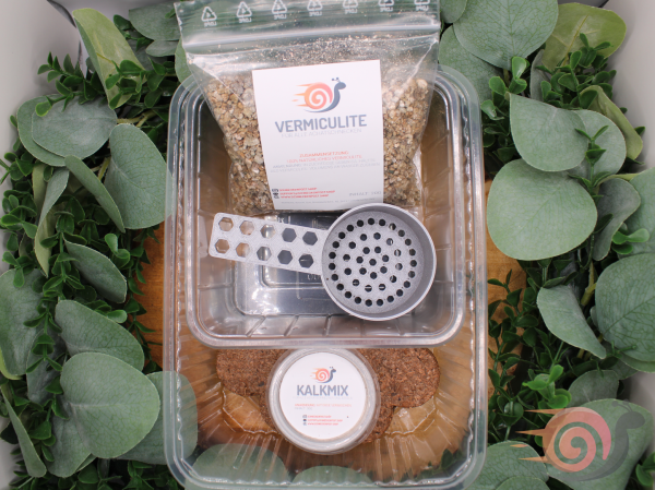 Archachatina Breeding Kit