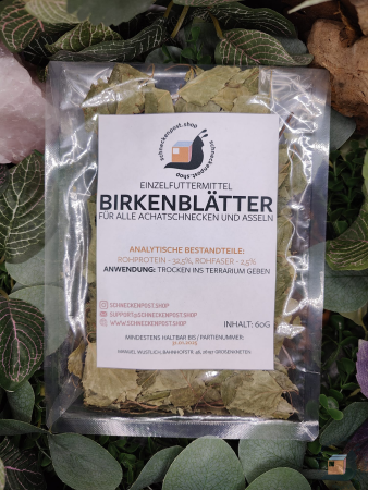 Birken Blätter getrocknet