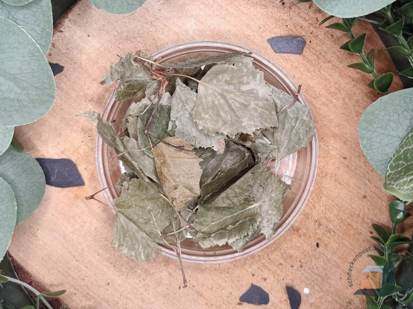 Birken Blätter getrocknet